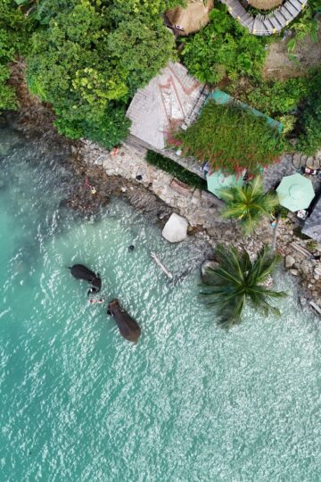 Blue Elephant Phuket img 0