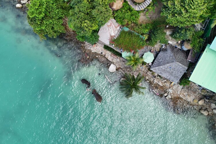 Blue Elephant Phuket img 0