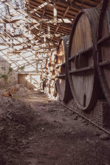 Bodega Garzon