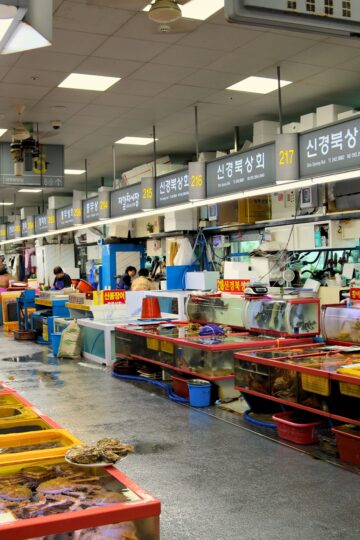 Busan Food Food Guide