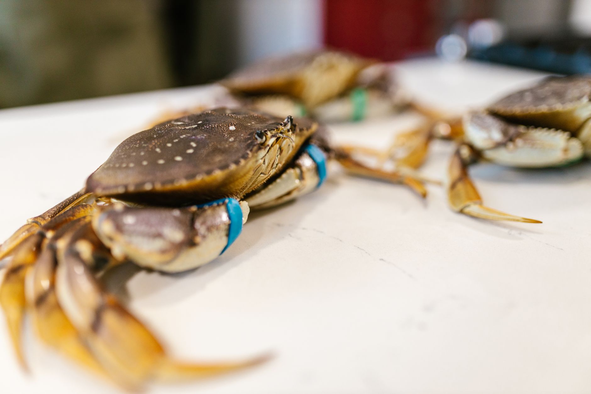 Joe's Stone Crab - Seafood di Miami