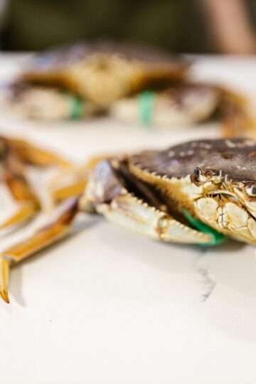 Joes Stone Crab
