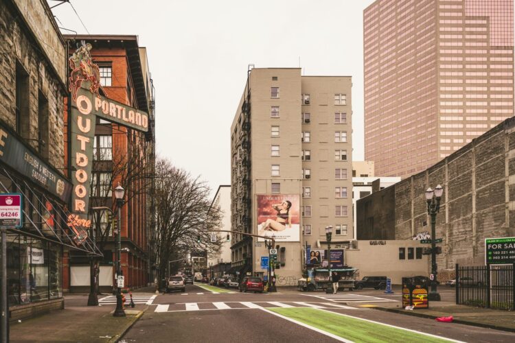 Le Pigeon