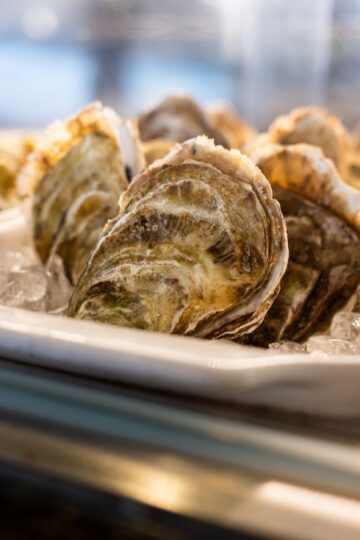 Moran's Oyster Cottage