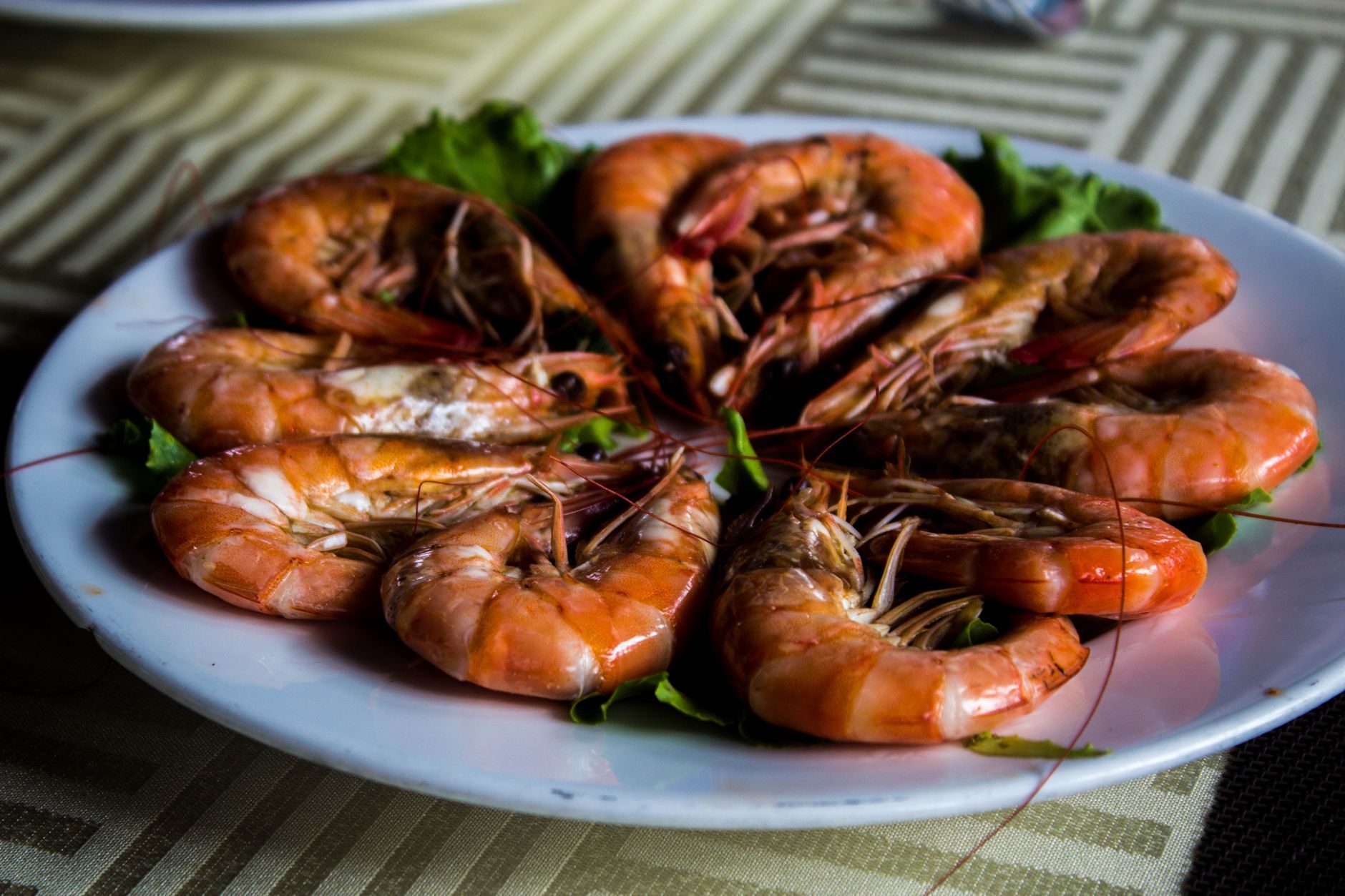 Providence Los Angeles Seafood Modern