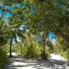 Soneva Fushi