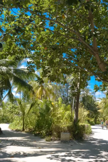 Soneva Fushi