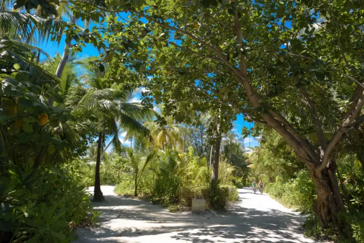 Soneva Fushi