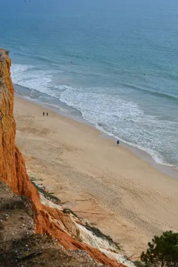 Vila Joya