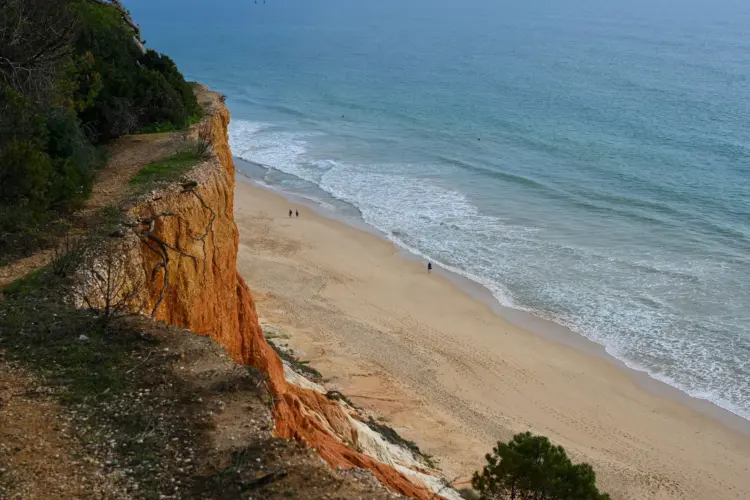 Vila Joya