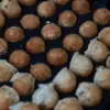 Takoyaki Jepang - Kuliner Asia