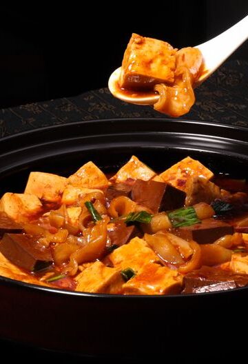 Mapo Tofu