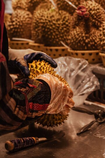 Ucok Durian